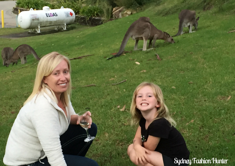 Active Holidays Lake Conjola: Kangaroos