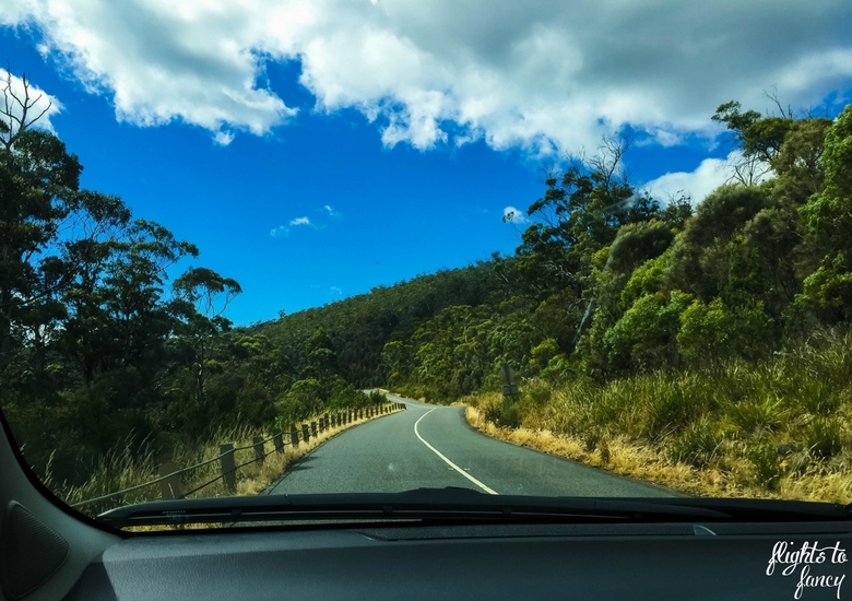 Flights To Fancy: Tasmanian Road Trip - Winding Road