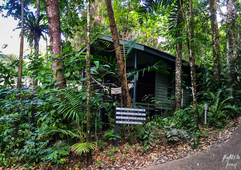 Flights To Fancy: Silky Oaks Lodge Mossman Queensland - Cabin