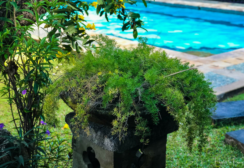 The Club Villas Seminyak: Gardens in 3 bedroom private pool villa