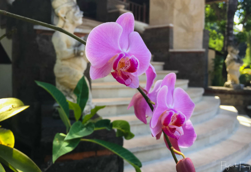 The Club Villas Seminyak: Seminyak villas reception entry with purple orchid