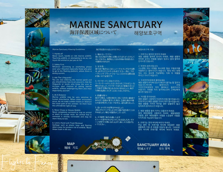 Marine Sanctuary at Mactan Island Beaches - Flights to Fancy