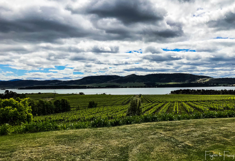 Best Wineries In Tasmania: Riversdale Estate Winery Lake