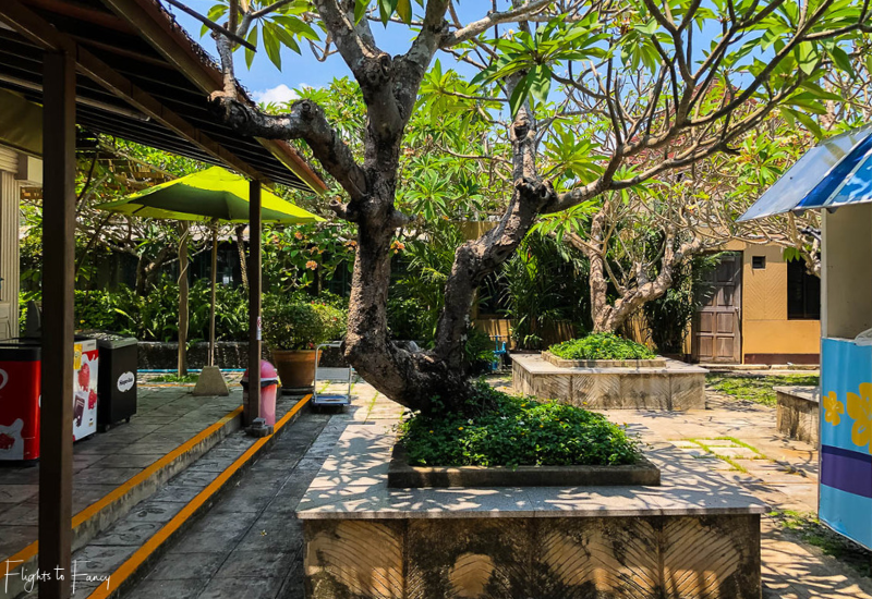 Bangkok Airways Review: Koh Samui Airport Gardens